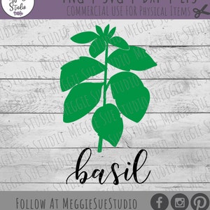 Basil SVG, Sweet Basil SVG, Basil Plant SVG, Basil Clipart, Vintage Basil Herb Graphic Svg, Herb Design Basil Cut File