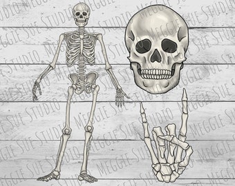 Skeleton PNG Bundle, Skeleton Drawing Skull Drawing Skeleton Rock Hand PNG, Skeleton Skull Clipart PNG, Skeleton Anatomy Drawing PnG