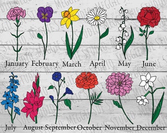 Geboorte maand bloem bundel SVG, verjaardag bloemen clipart SVG, hand getekende botanische bloemen SVG PNG, bloemen verjaardag maanden grafische SVG PNG