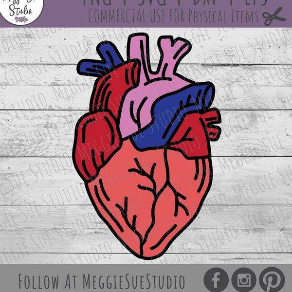 Anatomical Heart SVG, Human Heart SVG, Cartoon Anatomical Heart SVG, Cartoon Heart Graphic Cut File SvG, Human Heart Design SvG