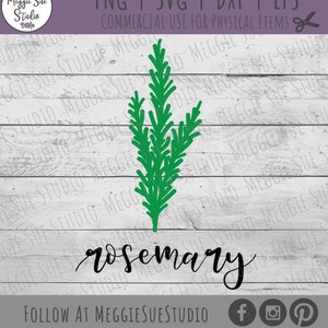 Rosemary SVG, Rosemary Plant SVG, Rosemary Herb SVG, Rosemary Vintage Herb Graphic Svg, Rosemary Clipart