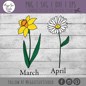 May include: A digital illustration of a yellow daffodil with a green stem and leaves, labeled "March", and a white daisy with a green stem and leaves, labeled "April".