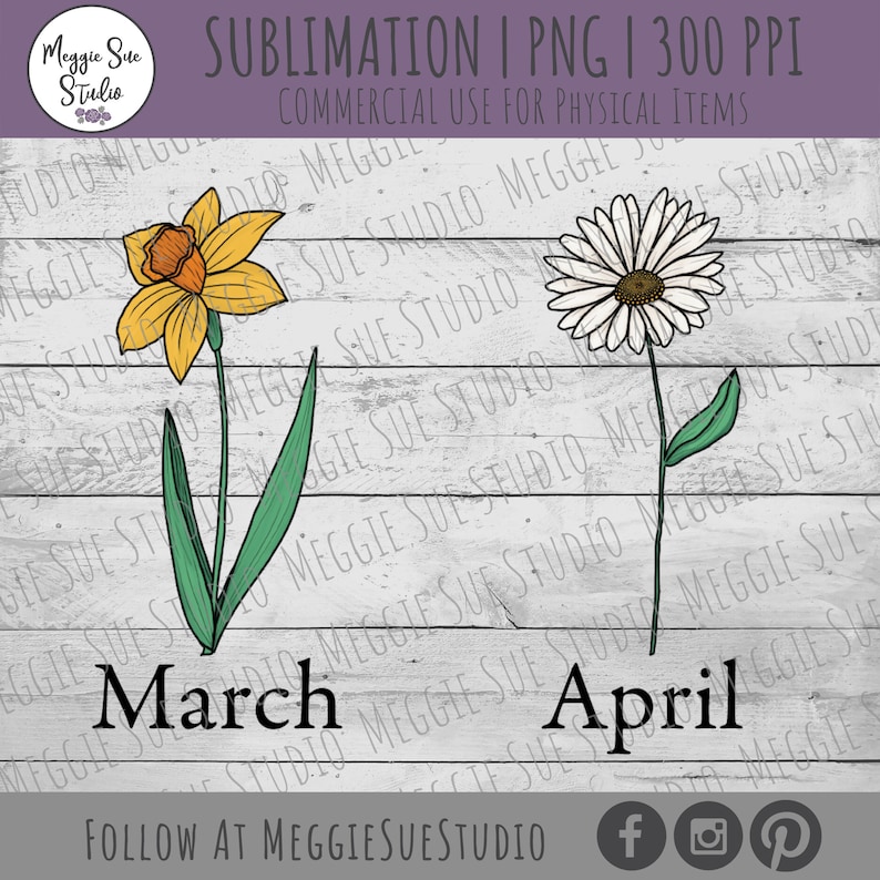 May include: A digital illustration of a yellow daffodil with green leaves and a white daisy with green leaves. The daffodil is labeled "March" and the daisy is labeled "April".
