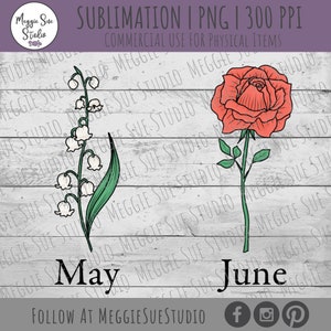 May include: A digital illustration of a lily of the valley flower with the word "May" below it and a red rose with the word "June" below it. The background is a white woodgrain pattern.