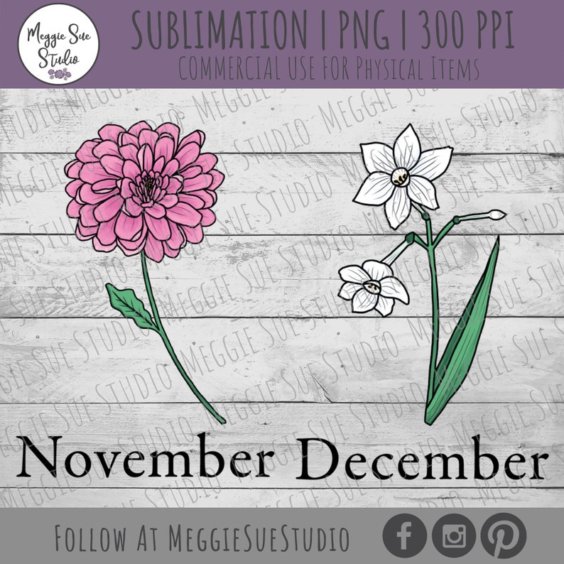 May include: A digital illustration of two flowers, a pink dahlia and a white narcissus, on a white woodgrain background. The text "November December" is at the bottom of the image.