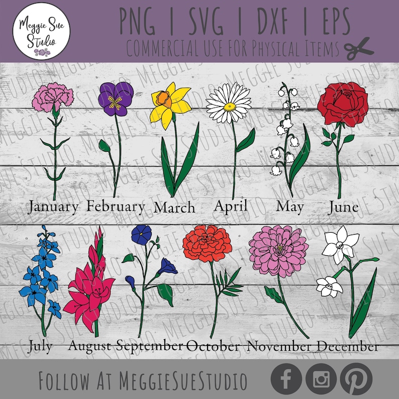 May include: A chart of flowers representing each month of the year. The flowers are drawn in a simple, cartoon style with black outlines and colored in. The flowers are arranged in two rows, with the months of the year listed below each flower.