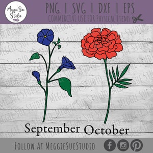 May include: A digital design featuring two flowers, a blue morning glory and a red marigold, with the text "September October" and the words "Follow at MeggieSueStudio" below.