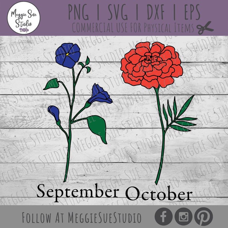 May include: A digital design featuring two flowers, a blue morning glory and a red marigold, with the text "September October" and the words "Follow at MeggieSueStudio" below.