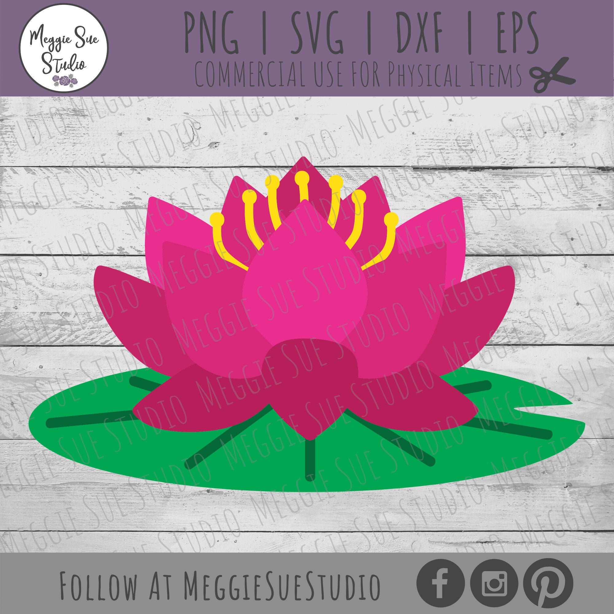 [最新] lily pad flower png 325740-Lily pad flower picture - Joshimagescoo