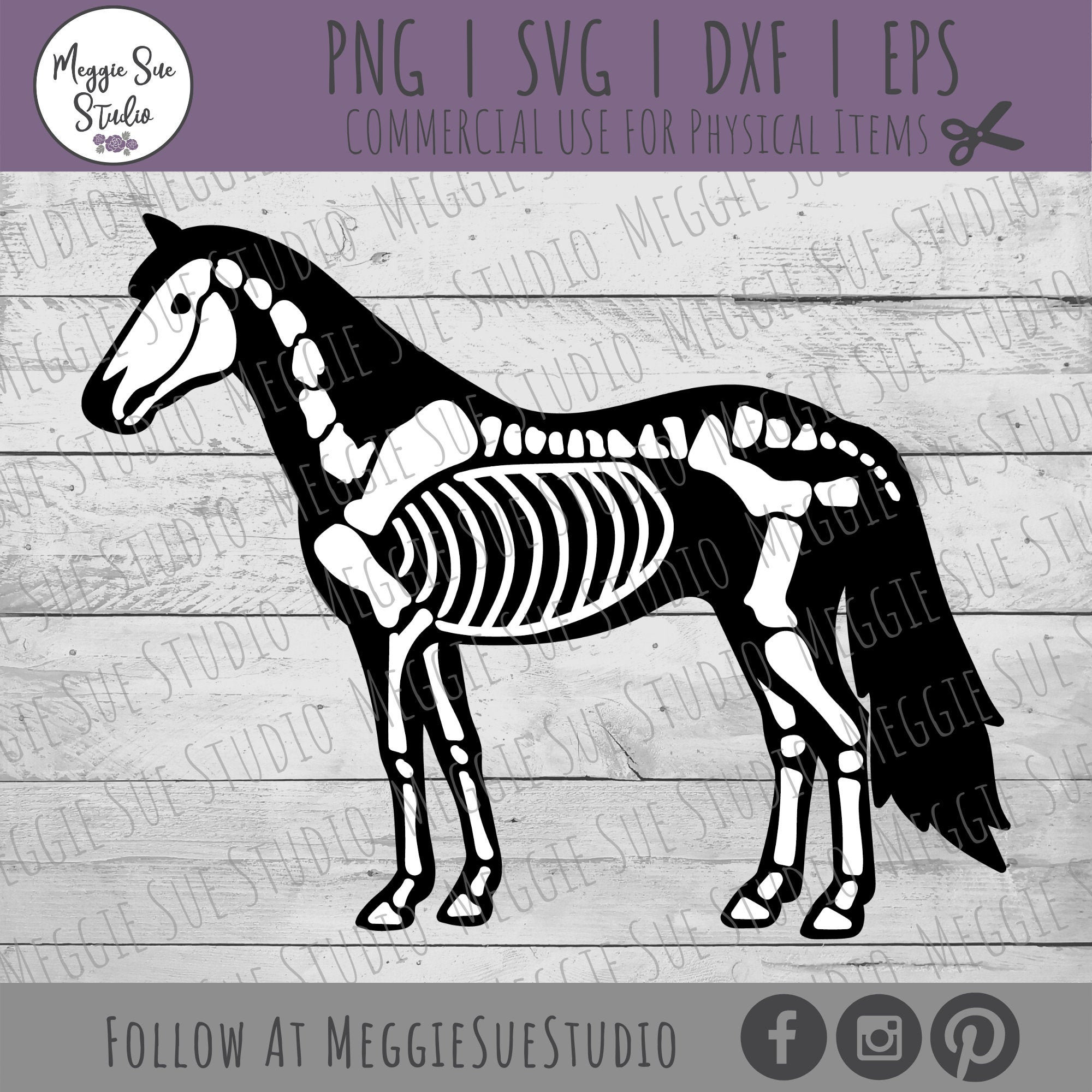 Printable Horse Skeleton Printable Horse Skeleton