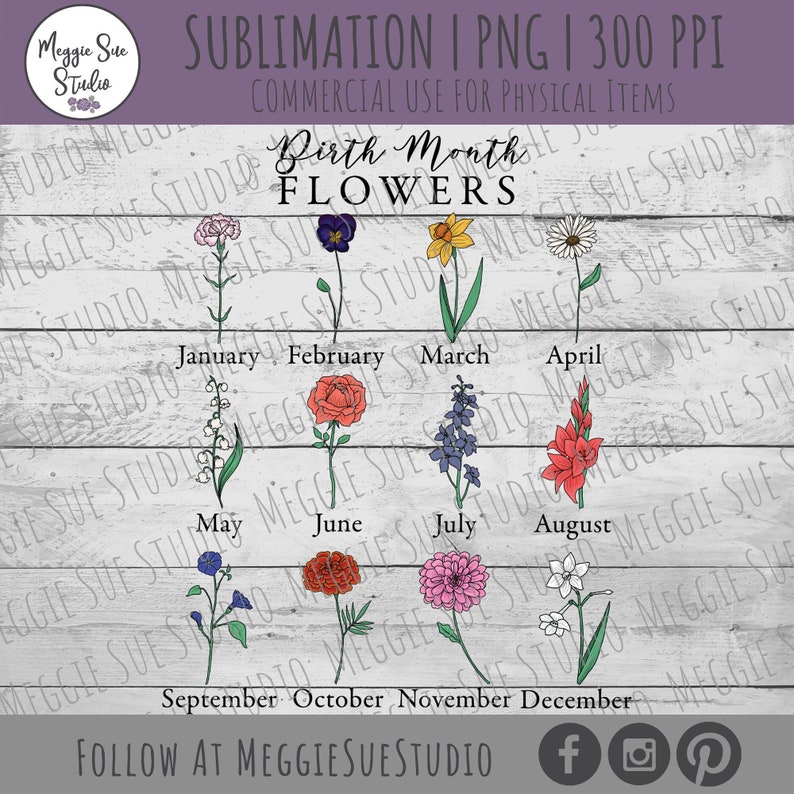 May include: A digital illustration of 12 different flowers, each representing a different month of the year. The flowers are drawn in a simple, minimalist style with black outlines and colored in with soft pastel hues. The months are labeled below each flower.