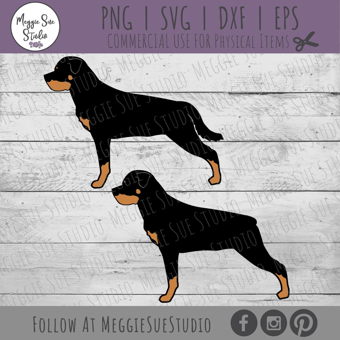 Rottweiler Breed Docking A Rottweiler Tail Rottweiler Breed Tail