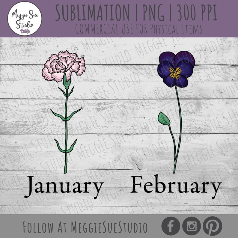 May include: A digital illustration of two flowers, a pink carnation for January and a purple pansy for February. The flowers are drawn on a white woodgrain background with the text "January" and "February" below each flower.