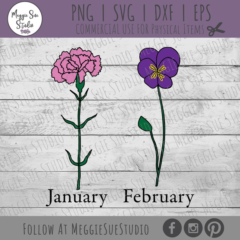 May include: A digital illustration of two flowers, a pink carnation and a purple pansy, with green stems and leaves. The flowers are labeled "January" and "February" on a white wood background.