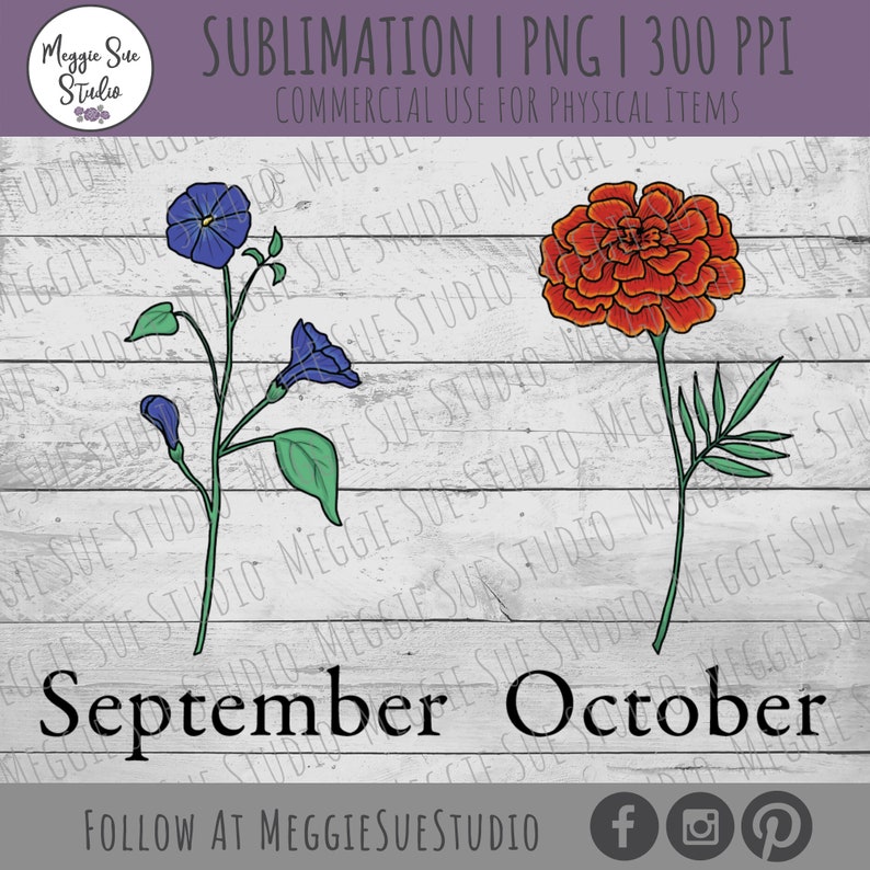 May include: A digital illustration of two flowers, one blue and one orange, with the words "September" and "October" below them. The background is a white woodgrain pattern.