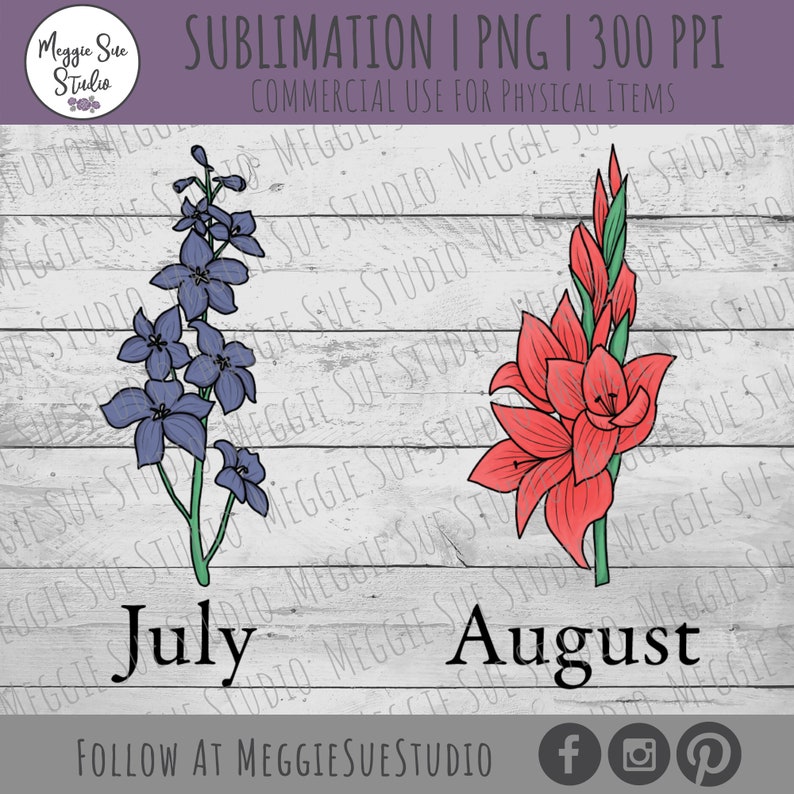 May include: A digital illustration of two flowers on a white wood background. The first flower is a blue delphinium with the word "July" below it. The second flower is a red gladiolus with the word "August" below it. The text "SUBLIMATION I PNG I 300 PPI" is at the top of the image. The text "COMMERCIAL USE FOR PHYSICAL ITEMS" is below the first line of text. The text "FOLLOW AT MEGGIESUESTUDIO" is at the bottom of the image.