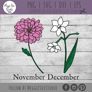 May include: A digital illustration of two flowers, a pink dahlia and a white narcissus, with green leaves. The text "November December" is below the flowers.