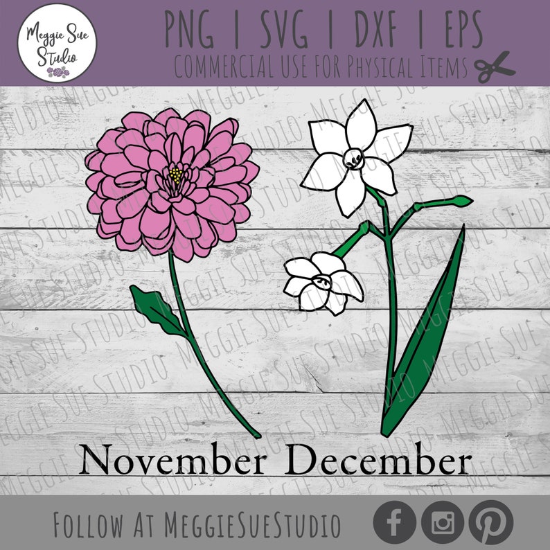 May include: A digital illustration of two flowers, a pink dahlia and a white narcissus, with green leaves. The text "November December" is below the flowers.