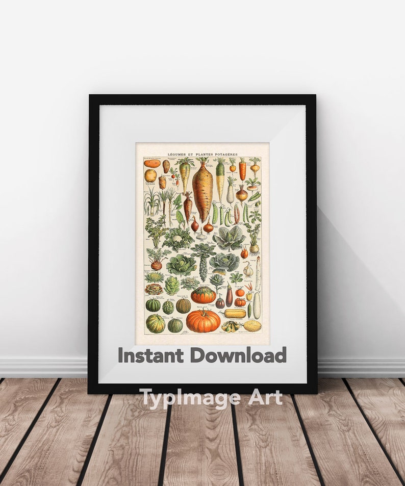 Kitchen Decor Vegetables Print Kitchen Wall Art Vintage Etsy