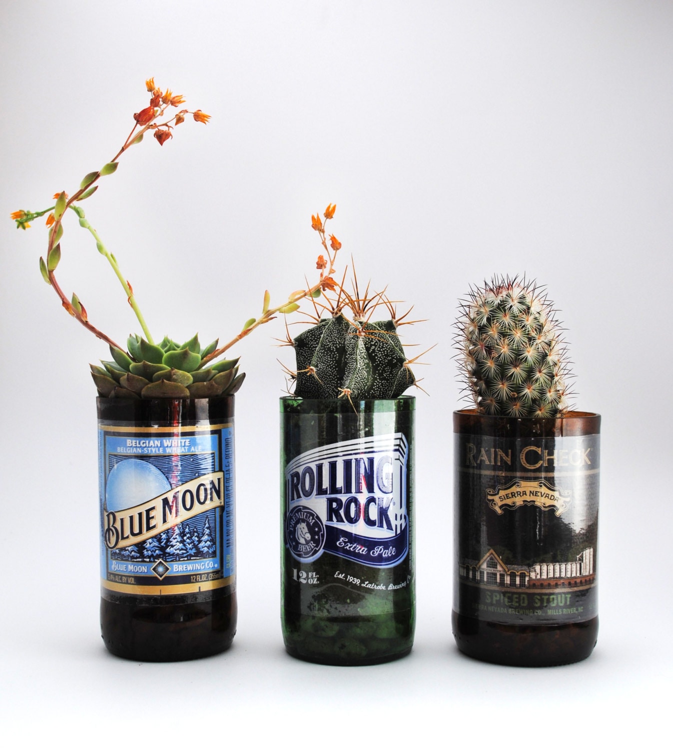 Custom Beer Bottle Planter - Personalized Plant Holder and Glassware Gift Set