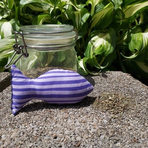 May include: A purple and white striped fabric fish toy with a glass jar filled with dried herbs in the background.
