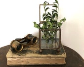 Vintage Brass french opera glasses