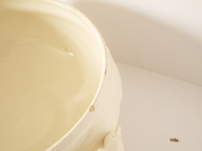 May include: White ceramic serving bowl with a slightly chipped rim. The bowl is empty and has a smooth, glossy finish.