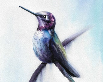 Hummingbird Watercolor Print - Anna's Hummingbird, Bird Art, Bird Painting, Ruby Hummingbird, Jacqueline Tribble, Modern Watercolor