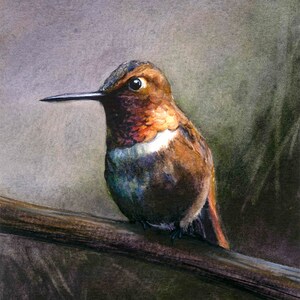 Hummingbird Watercolor Print - Rufous Hummingbird, Bird Art, Watercolor Painting, Jacqueline Tribble, Wildlife Print, Hummingbirds