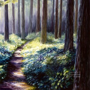 Op de afbeelding: Een aquarel schilderij van een bospaadje dat kronkelt door hoge bomen. Het pad wordt verlicht door zonlicht dat door de bladeren valt, waardoor een gevlekt effect op de grond ontstaat. De bomen zijn geschilderd in tinten groen, bruin en paars, met een gevoel van diepte en perspectief.
