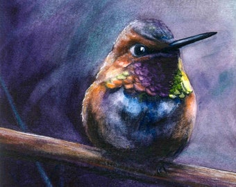 Hummingbird Watercolor Print - Rufous Hummingbird, Bird Art, Watercolor Painting, Jacqueline Tribble, Wildlife Print, Hummingbirds