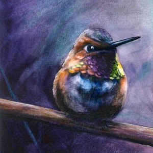 Hummingbird Watercolor Print - Rufous Hummingbird, Bird Art, Watercolor Painting, Jacqueline Tribble, Wildlife Print, Hummingbirds