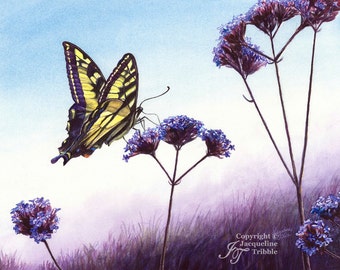 Butterfly Watercolor Print, Swallowtail watercolor print, yellow butterfly, swallowtail butterfly, pnw butterfly, jacqueline tribble