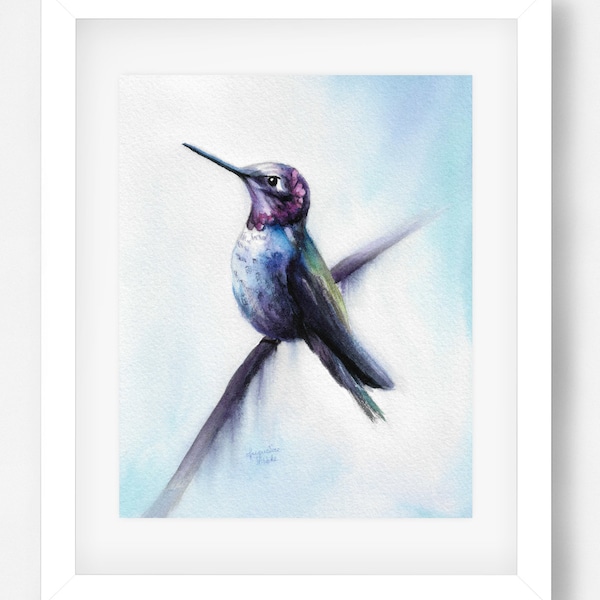 Watercolor Print - Anna's Hummingbird by Pacific Northwest Artist, Jacqueline Tribble