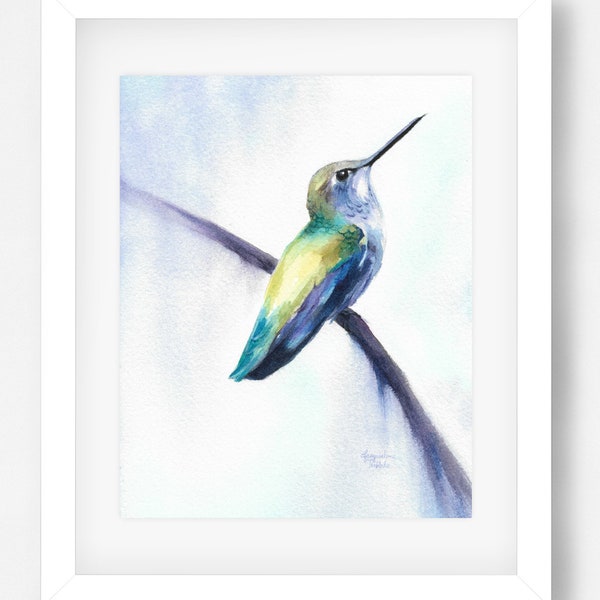 Watercolor Print - Anna's Hummingbird by Pacific Northwest Artist, Jacqueline Tribble