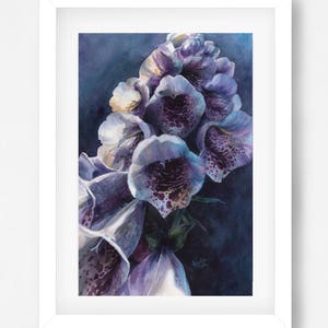 Op de afbeelding: Een aquarel schilderij van een tros paarse en witte vingerhoedskruid bloemen met donkerpaarse vlekken. De bloemen zijn in een verticale compositie gerangschikt tegen een donkerblauwe achtergrond.