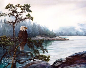 Print - Bald Eagle Watercolor Painting - PNW art, bird painting, eagle art, wildlife art, pacific northwest, Jacqueline Tribble