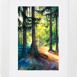 Op de afbeelding: Een aquarel schilderij van een bospaadje met hoge bomen en zonlicht dat door de bladeren schijnt. Het pad is omzoomd met hoge bomen met bruine stammen en groene bladeren. Het zonlicht creëert een warme gloed op het pad.