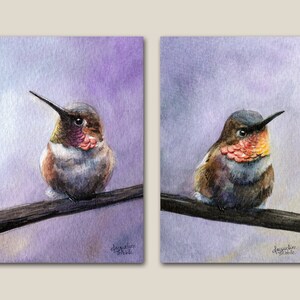 Hummingbird Watercolor Print Set - Rufous Hummingbird - watercolor prints, wildlife art, bird painting, bird art, Jacqueline Tribble
