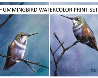 Hummingbird Watercolor Print Set - Calliope hummingbird, watercolor prints, wildlife art, bird painting, hummingbird art, Jacqueline Tribble