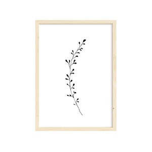Botanical Abstract Plant Print - Foliage Seedhead Wall Art- Plant Black Wall Art Print