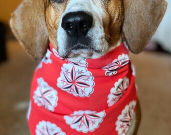 nix nux Gandee hex bandana for humans and dogs