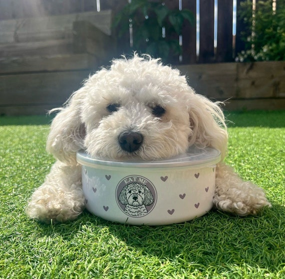 Personalised Portable Enamel Dog Travel Bowl With Lid Dog Camping Bowl Enamel Food Storage Bowl Personalised Pet Travel Accessory Etsy
