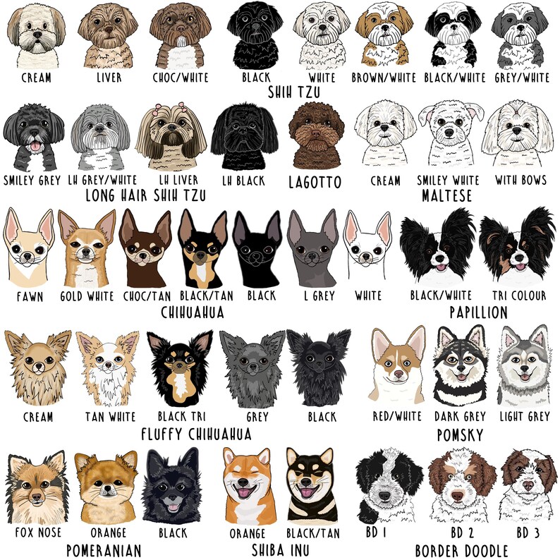 Op de afbeelding: Een verzameling ge&iuml;llustreerde hondenportretten, elk met een ander ras en kleurenschema. Rassen zijn onder meer Shih Tzu, Chihuahua, Pomeranian en Shiba Inu, met tekstlabels die de kleur en het ras van elke hond aangeven.