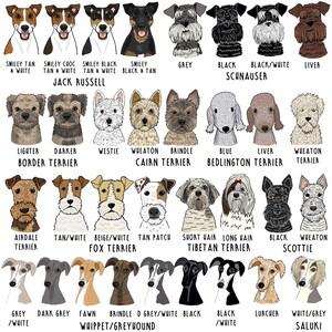Op de afbeelding: Illustraties van verschillende hondenrassen, waaronder Jack Russell, Schnauzer en terriers. Elke hond is afgebeeld met rasnaam en kleurvariaties. De stijl is cartoonachtig.