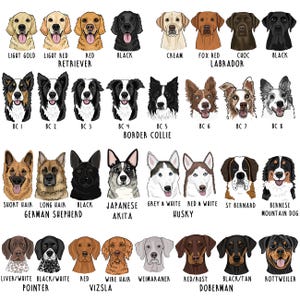 Personalised Pet Treat Bag, Dog illustration on bag, Treat Bag, Personalised Treat Bag, Dog Illustration, Dog Treats, Cat Illustration image 5