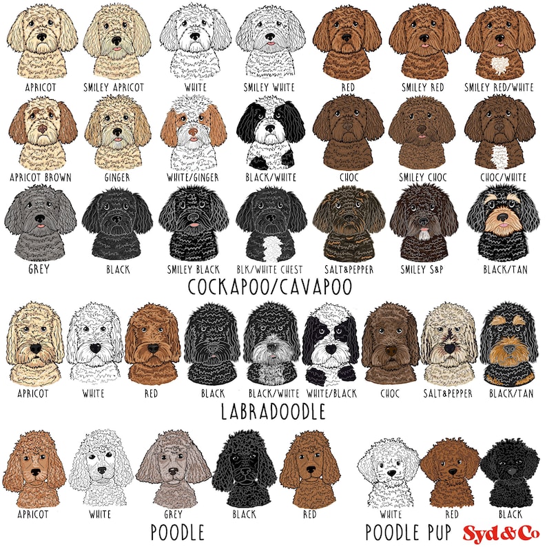 Personalised Dog walking hoody, Hoody with dog on, Cockapoo Hoody, Frenchie hoody, Christmas gift for dog lover, dog on jumper image 3