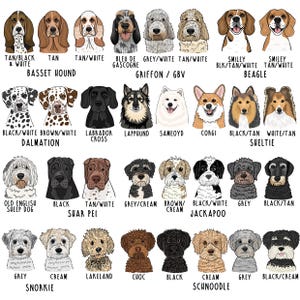 Op de afbeelding: Een verzameling ge&iuml;llustreerde hondenportretten, elk met de rasnaam en kleurvariaties. Rassen zijn onder meer Beagle, Labrador, Dalmatian en anderen. De illustraties zijn in cartoonstijl, met een witte achtergrond.