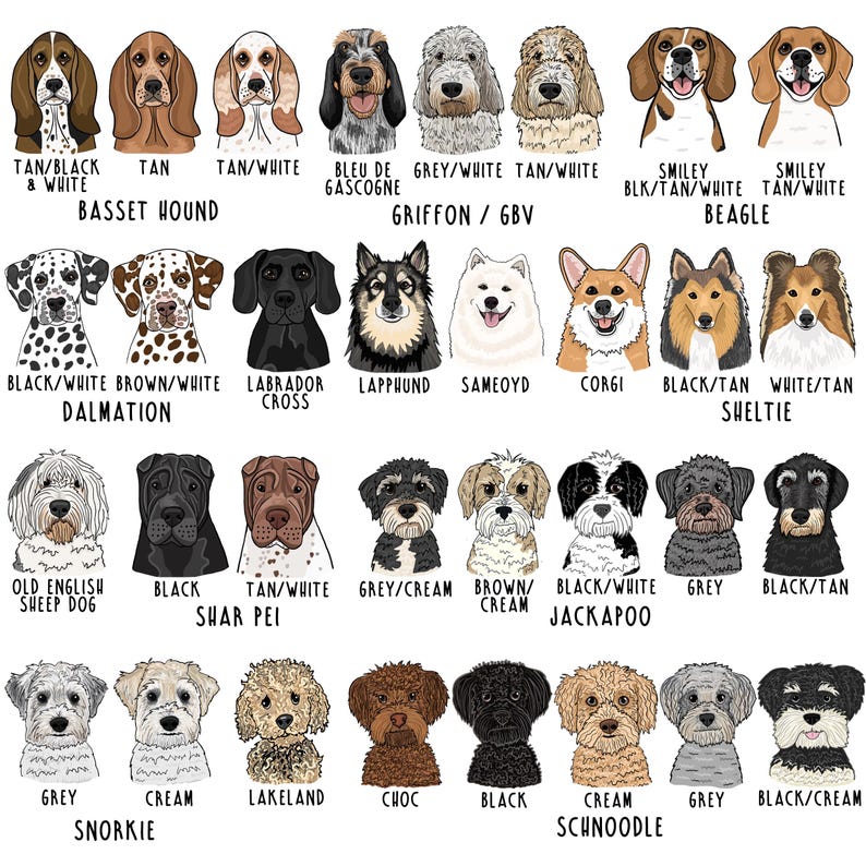 Op de afbeelding: Een verzameling ge&iuml;llustreerde hondenportretten, elk met de rasnaam en kleurvariaties. Rassen zijn onder meer Beagle, Labrador, Dalmatian en anderen. De illustraties zijn in cartoonstijl, met een witte achtergrond.