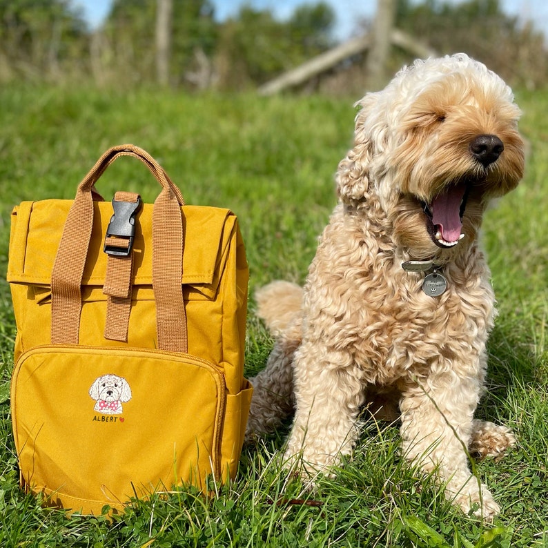 Personalised doggy daycare backpack for treats and toys , new puppy gift, dog birthday gift, dog walking rucksack, dog mum birthday gift image 1